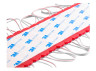 LED modules COB 12V IP65 red LEDUA